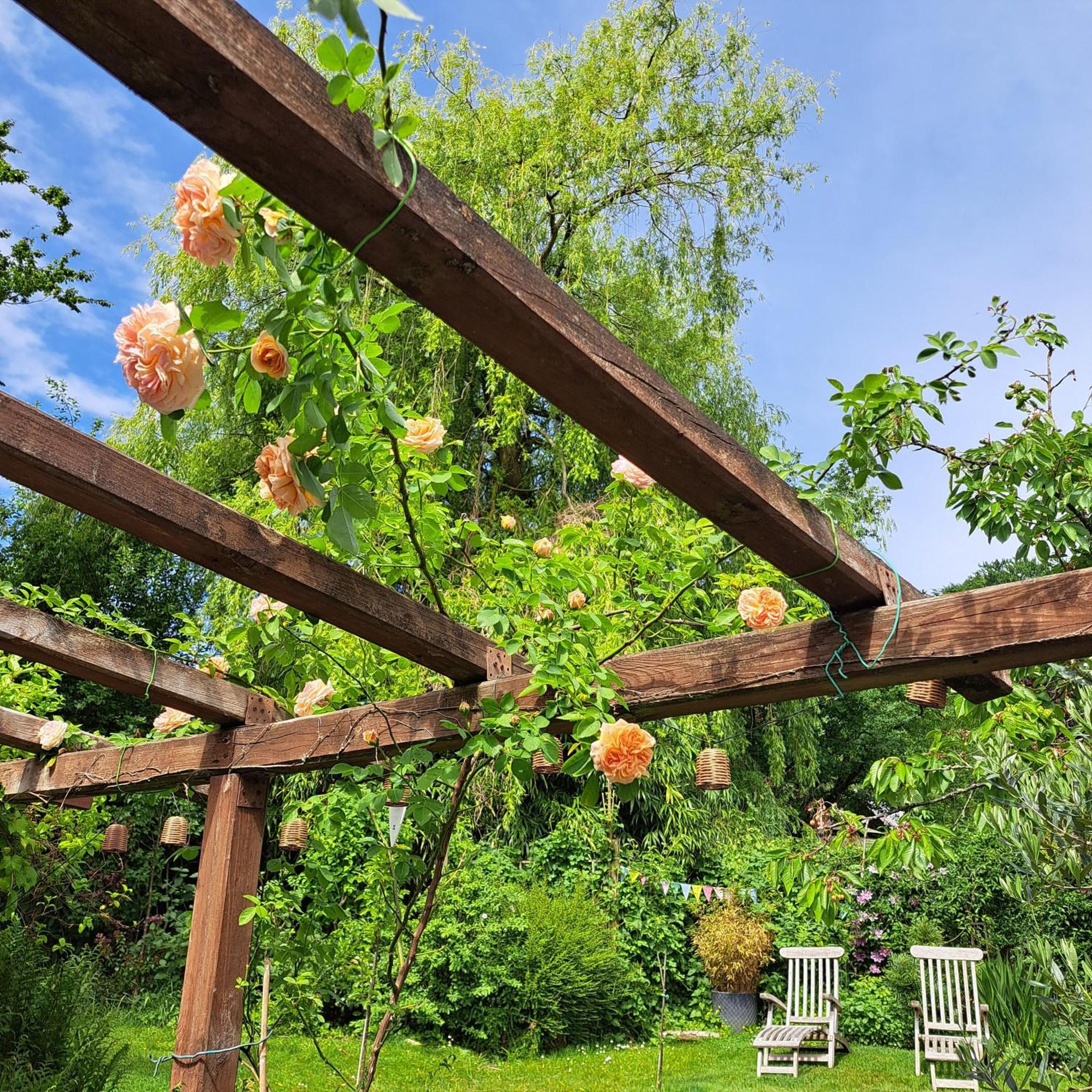 La Quitapenas Villa Ronse Luaran gambar
