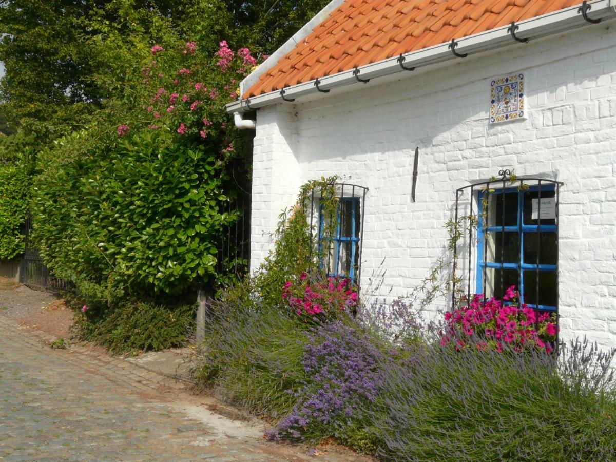 La Quitapenas Villa Ronse Luaran gambar