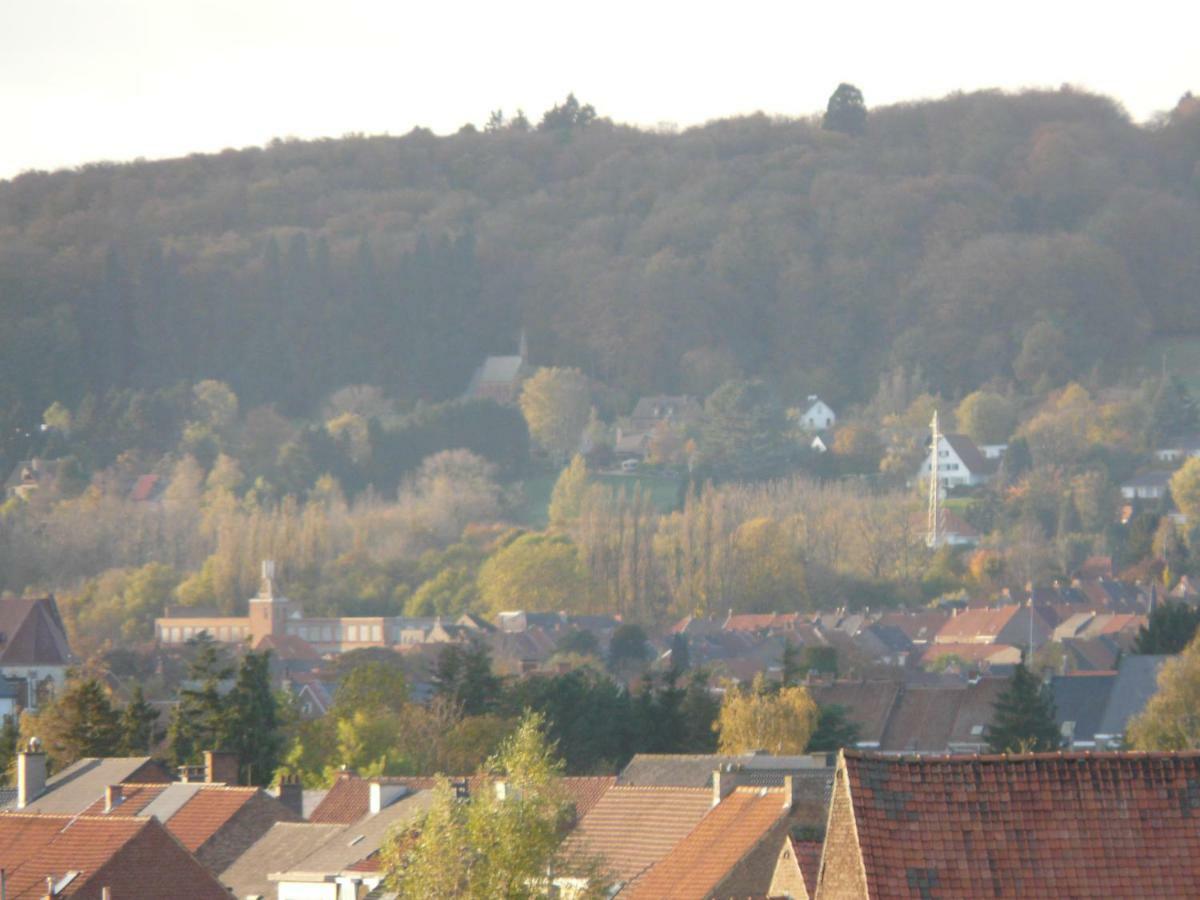 La Quitapenas Villa Ronse Luaran gambar