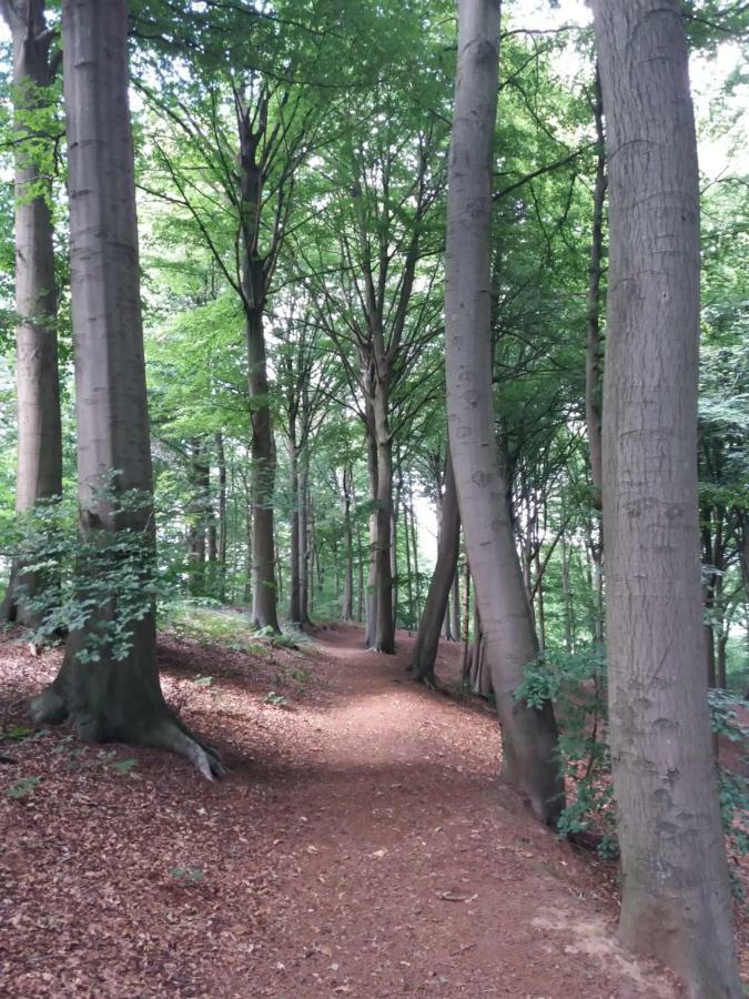 La Quitapenas Villa Ronse Luaran gambar