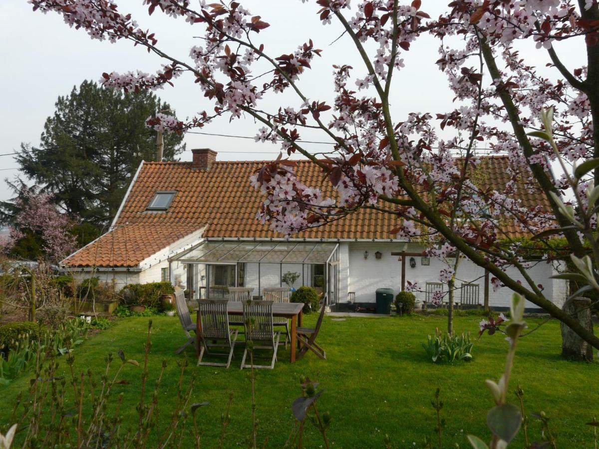 La Quitapenas Villa Ronse Luaran gambar