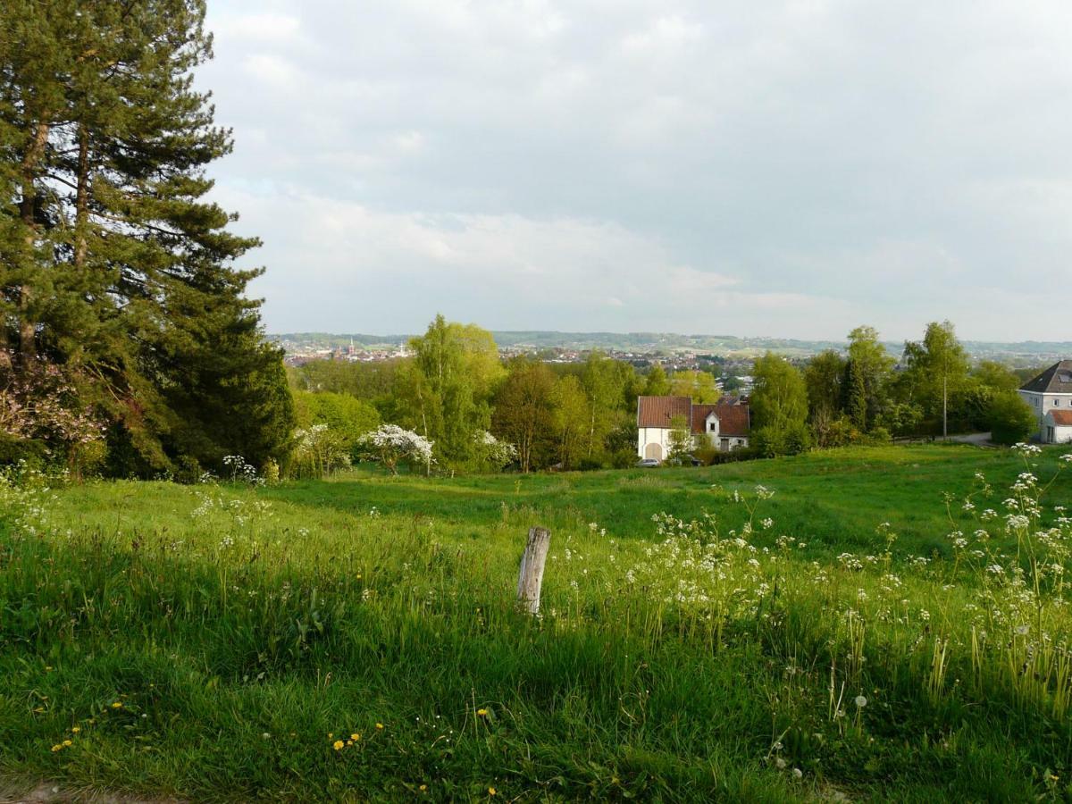 La Quitapenas Villa Ronse Luaran gambar